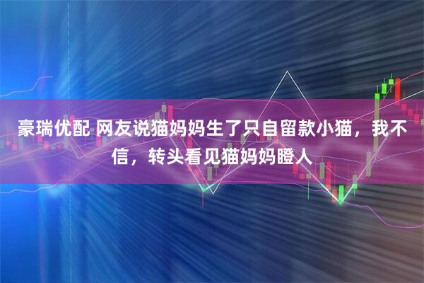 豪瑞优配 网友说猫妈妈生了只自留款小猫，我不信，转头看见猫妈妈瞪人