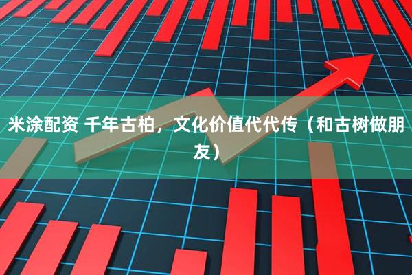 米涂配资 千年古柏，文化价值代代传（和古树做朋友）