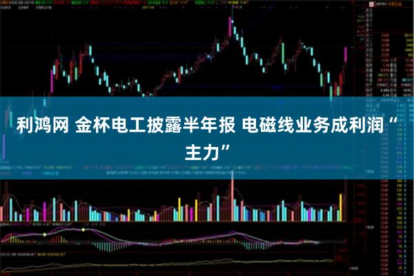 利鸿网 金杯电工披露半年报 电磁线业务成利润“主力”